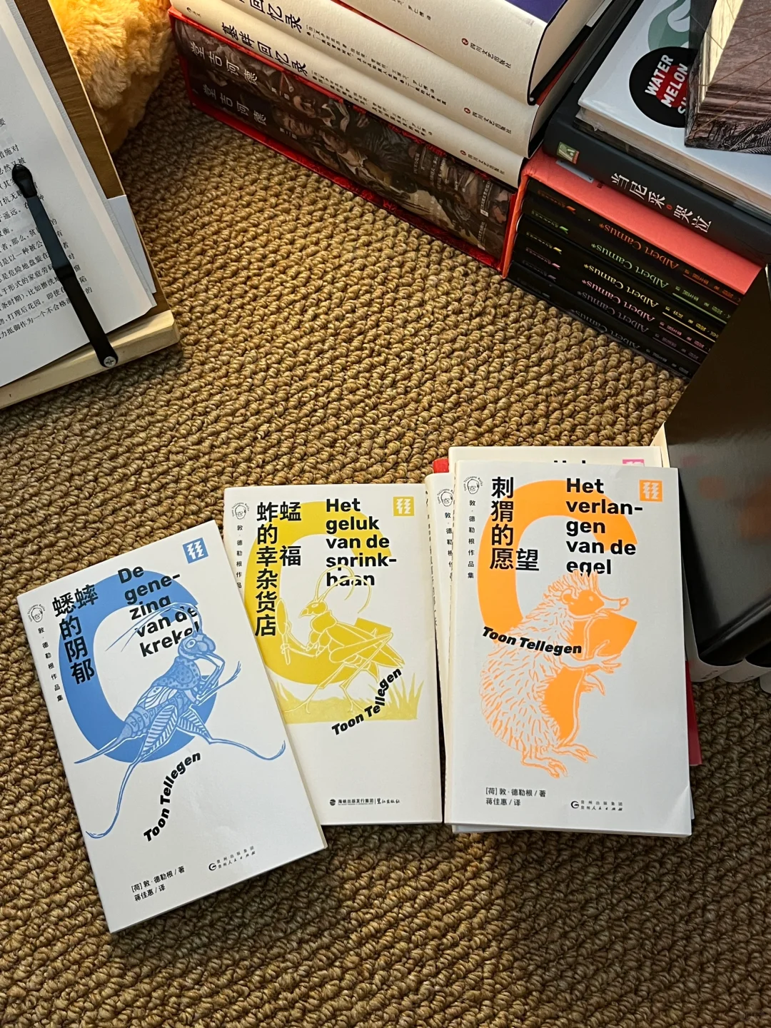 一份夏日轻松无压力中短篇书单合集