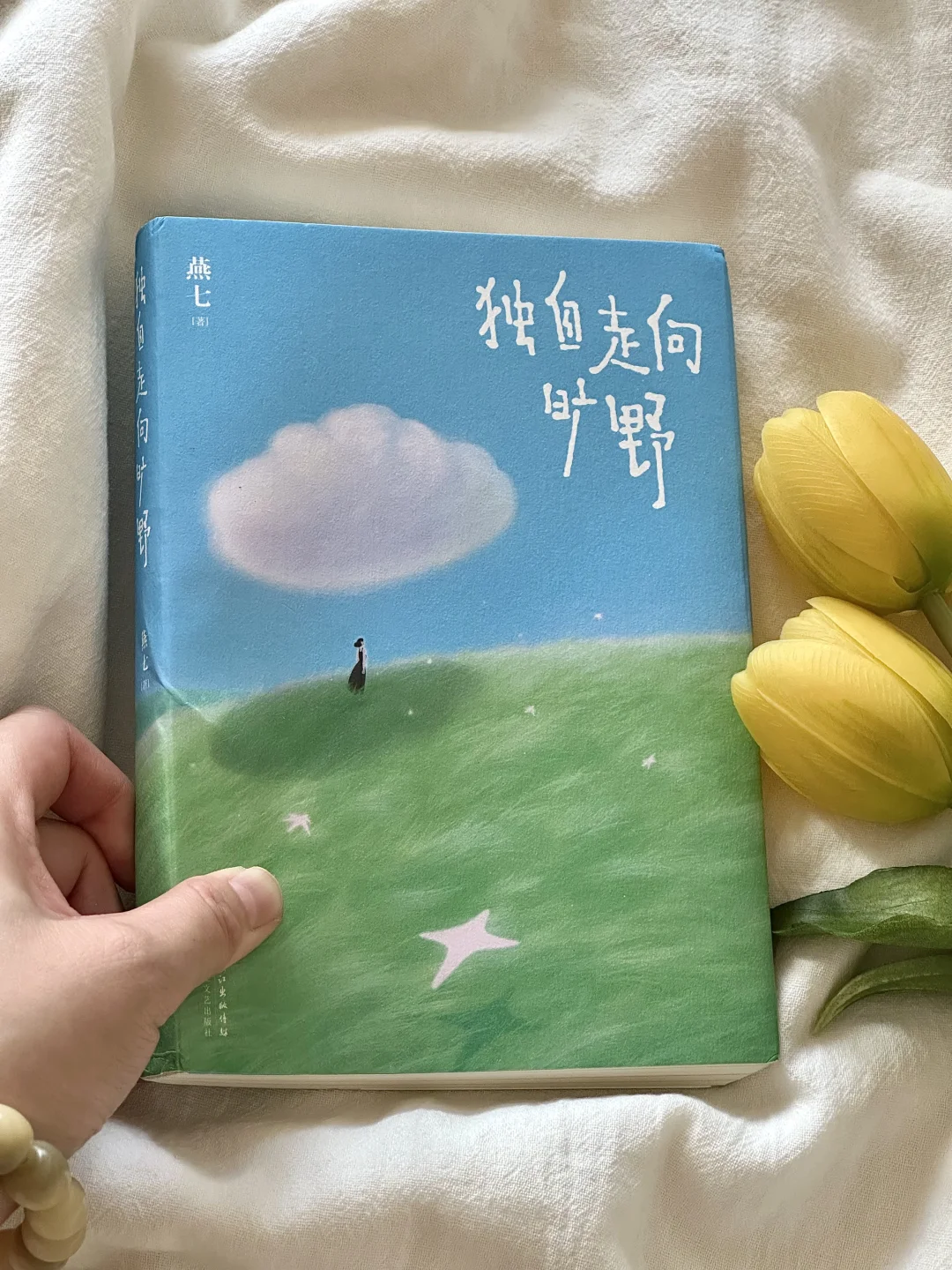 美到让人心醉！这本诗集真的太太治愈了