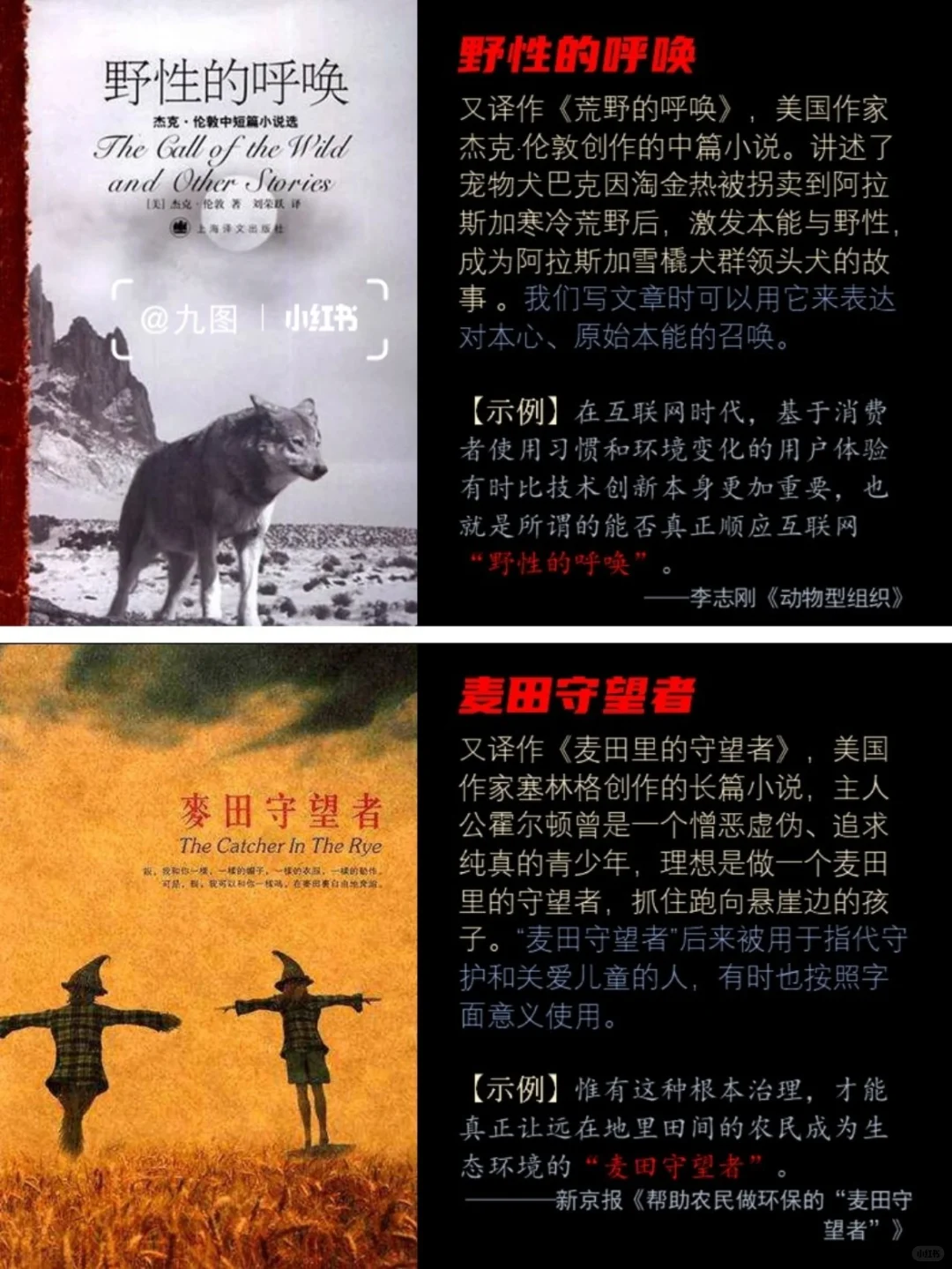 写进作文很出彩的世界名著·欧美西方文学