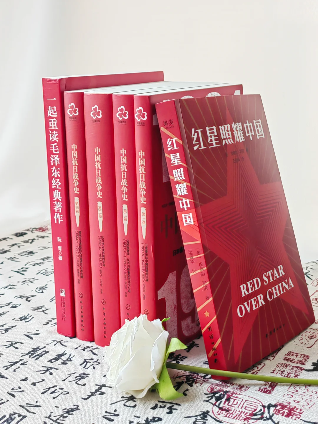 源能书单❗如果最近能量太低就来读书吧❗️
