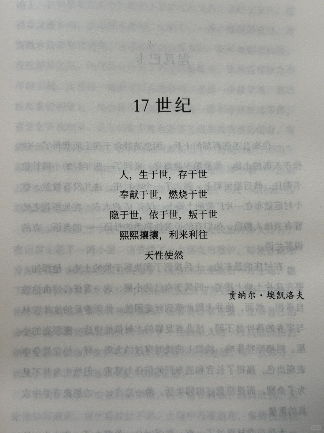 小众宝藏！这部森林系奇幻史诗。