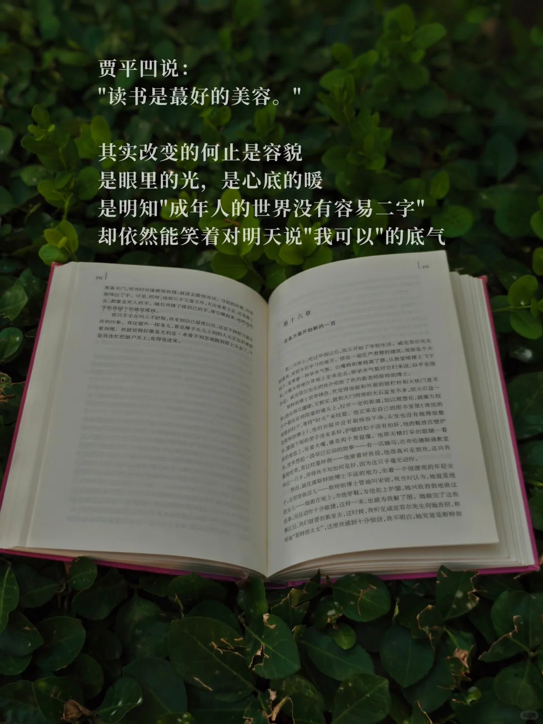 到了一定年纪才发现：书，最养人！