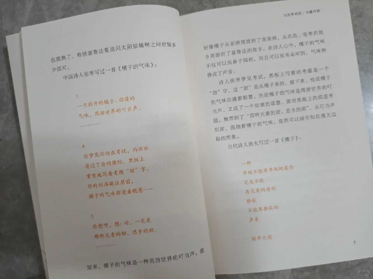妹妹的新书