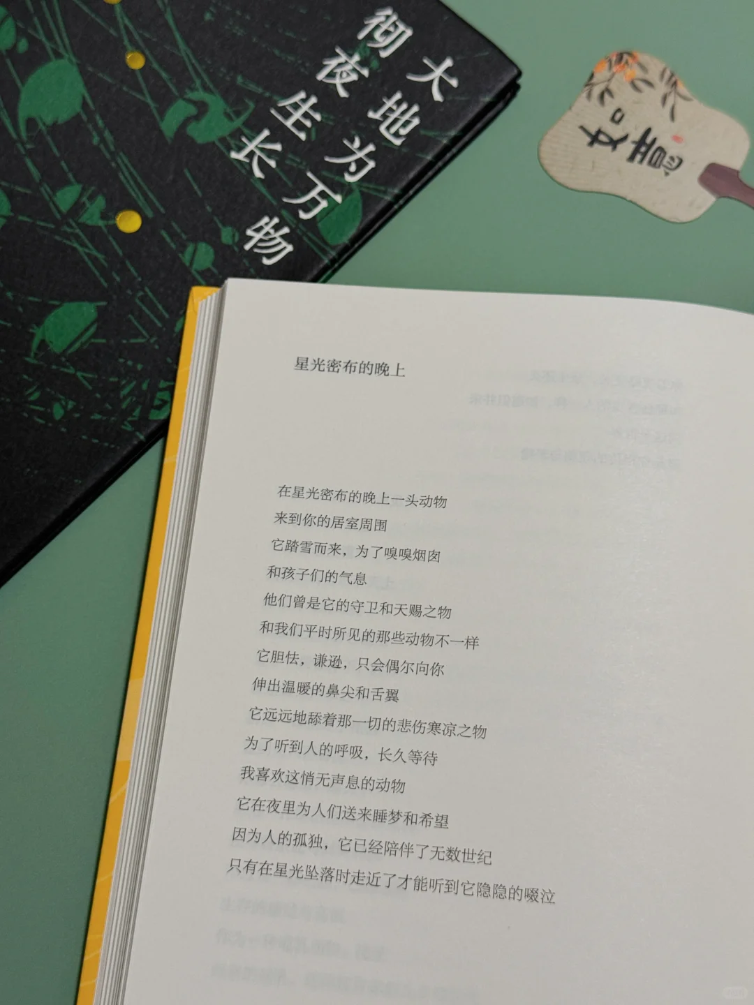 《大地为万物彻夜生长》允许生活长点“杂草”吧