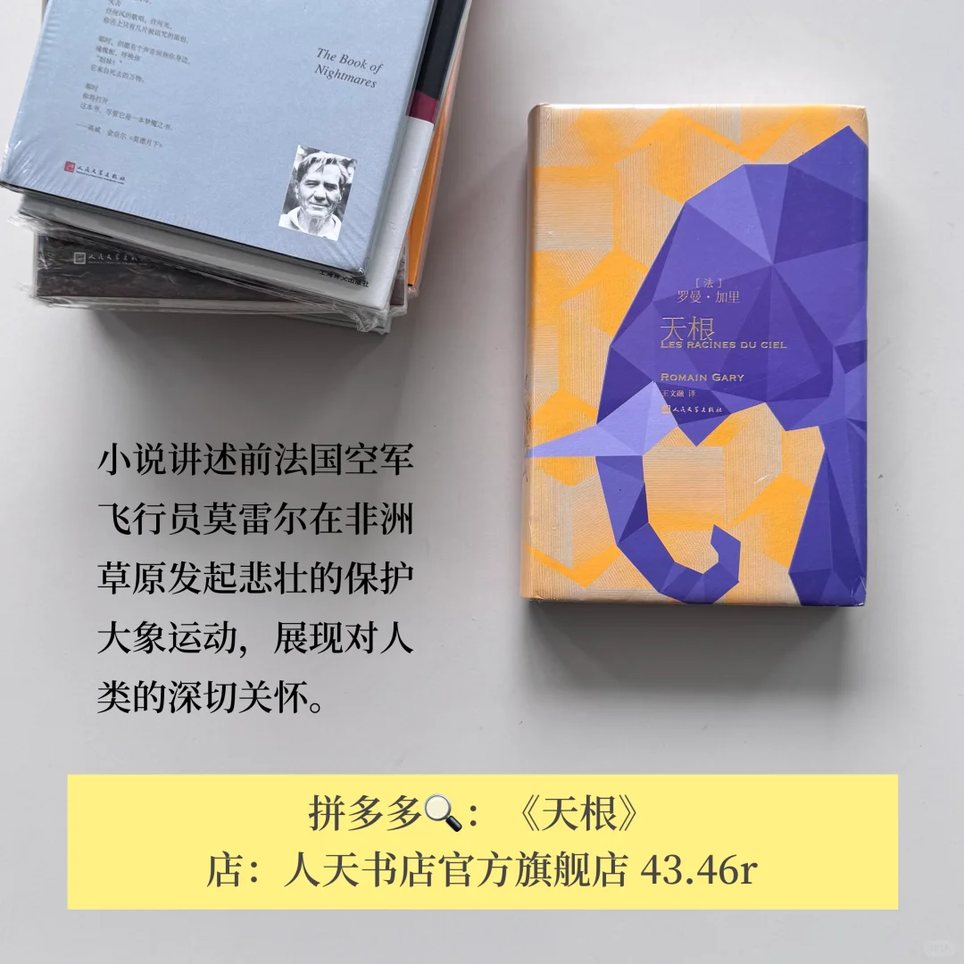 不热门但每一本都封神！pdd