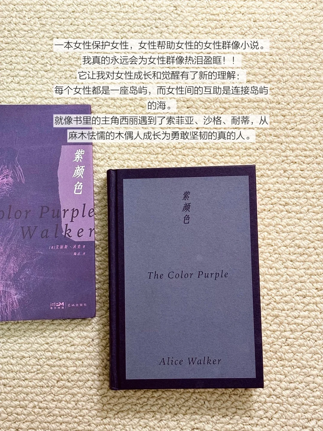 我的2024年度书单⤴️今年全靠这些书续命