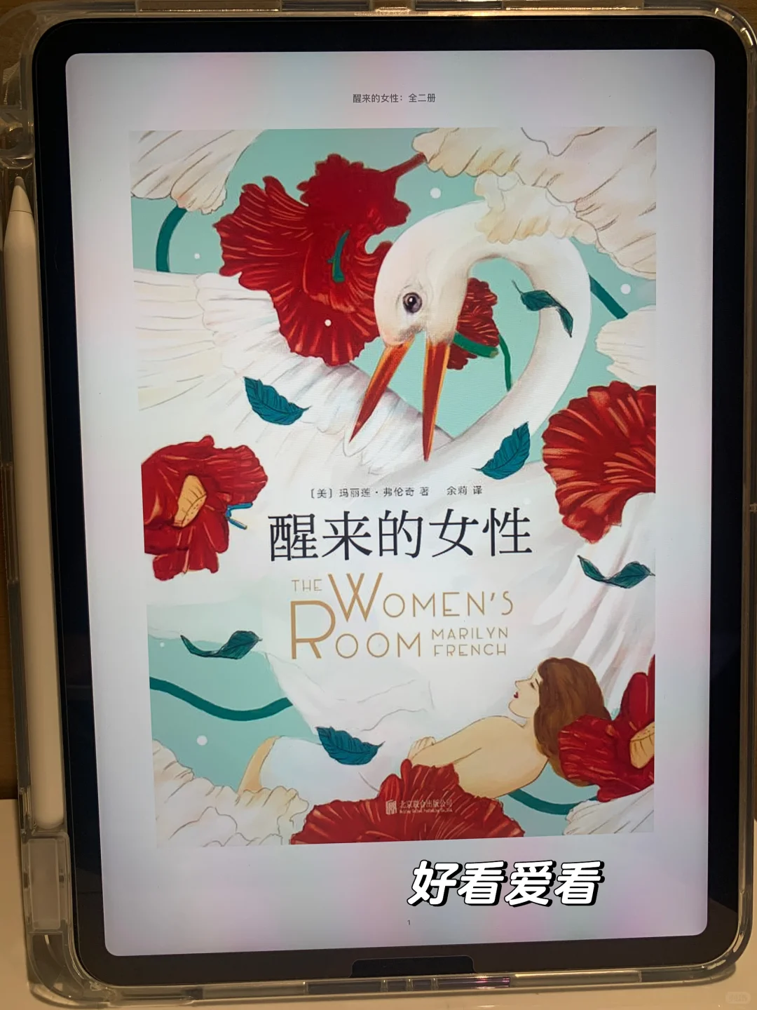 📚✨找书秘籍大公开｜实现电子书自由‼️