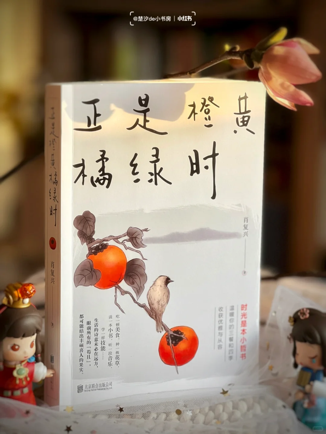 满满正能量，我被狠狠治愈了‼️