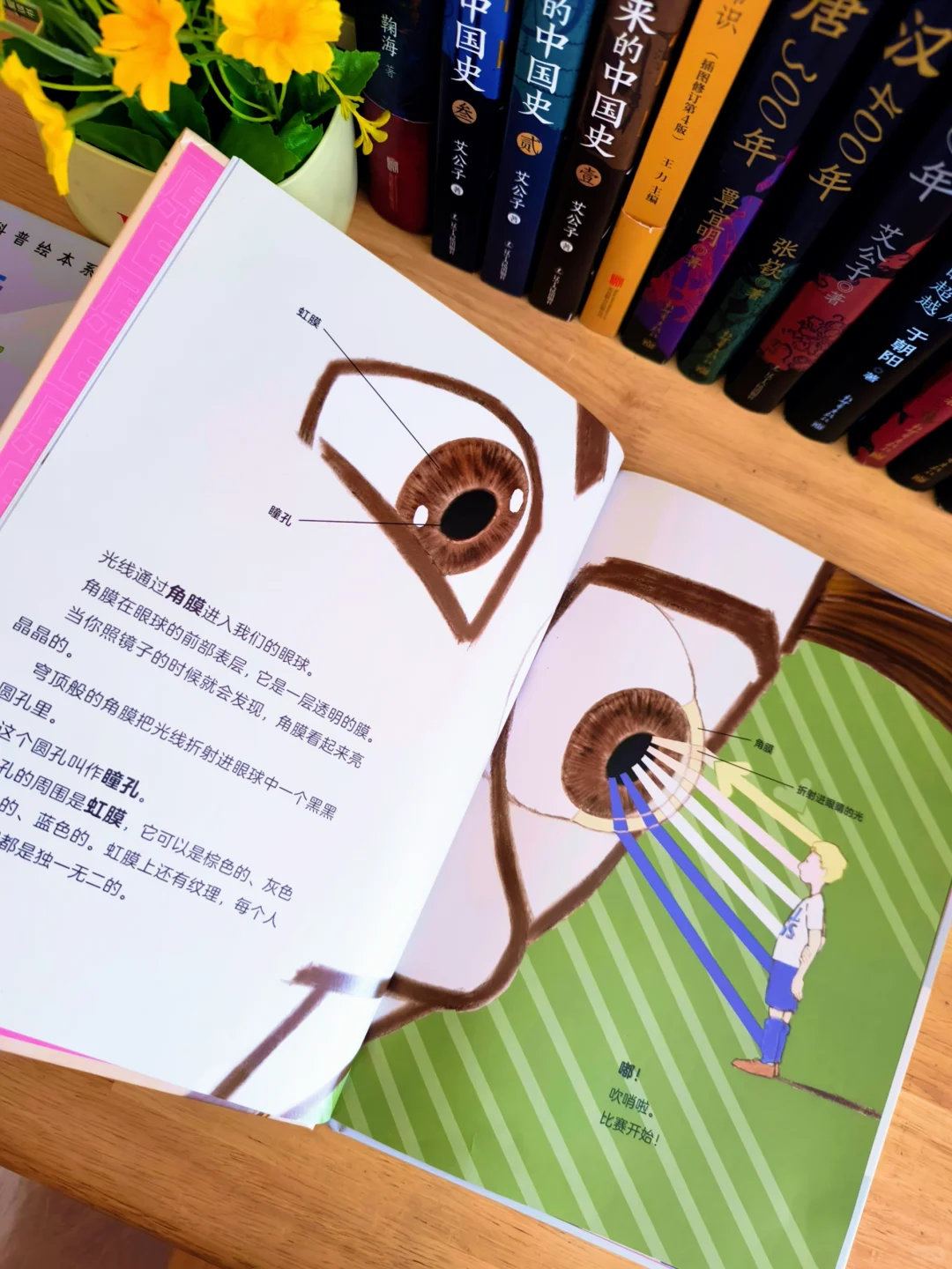 6岁小孩哥暑假书单Ｉ有好书，不负好时光