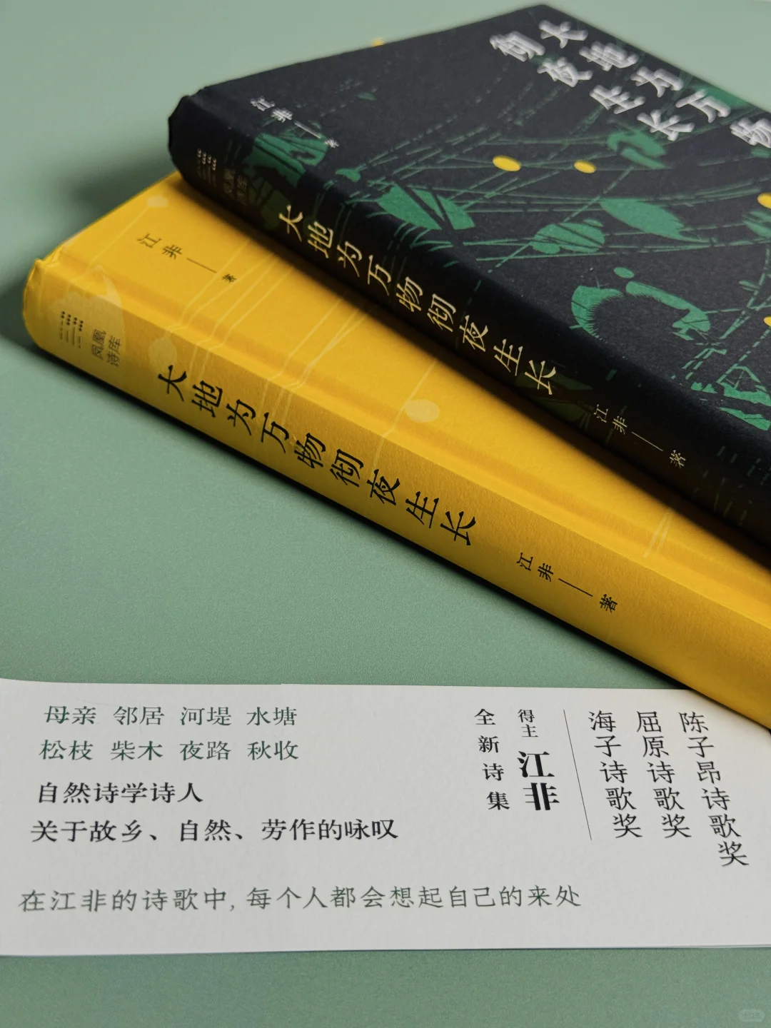 《大地为万物彻夜生长》允许生活长点“杂草”吧