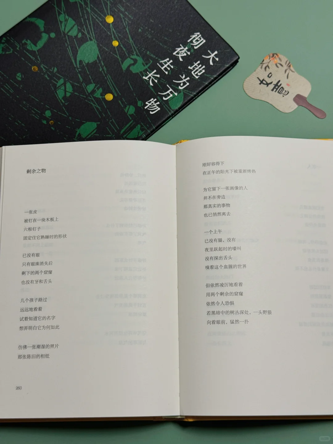 《大地为万物彻夜生长》允许生活长点“杂草”吧