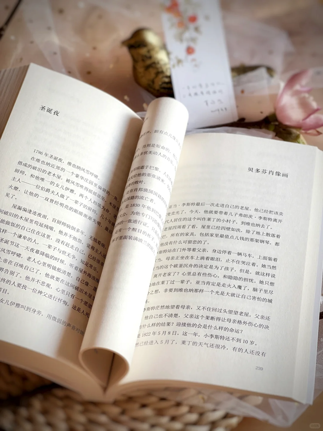 满满正能量，我被狠狠治愈了‼️