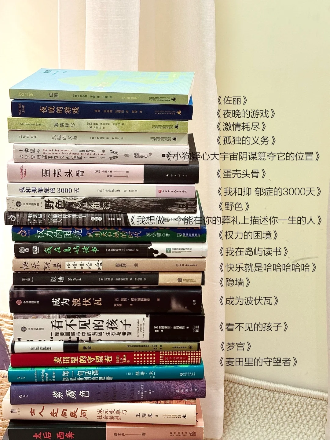 我的2024年度书单⤴️今年全靠这些书续命