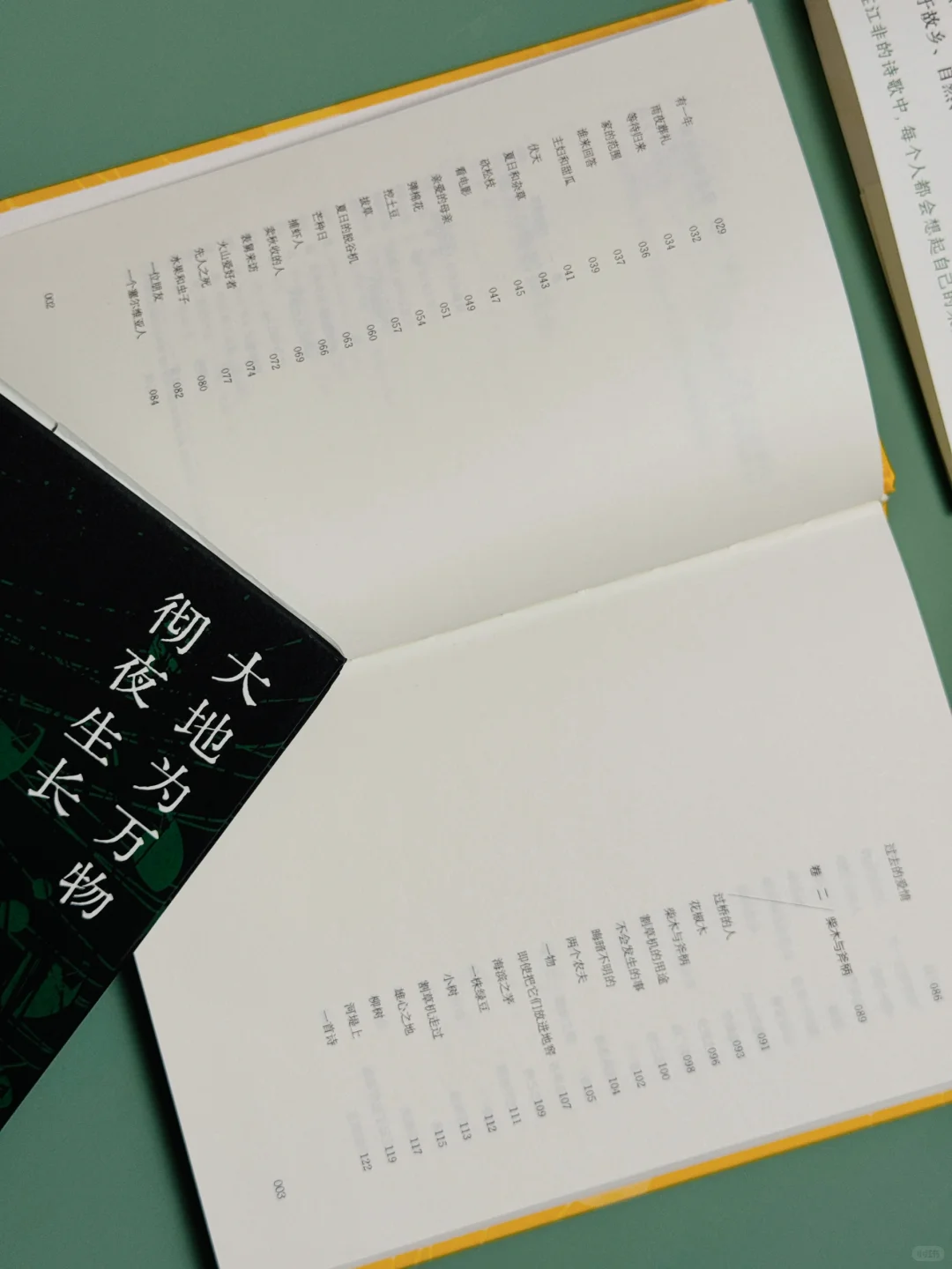 《大地为万物彻夜生长》允许生活长点“杂草”吧