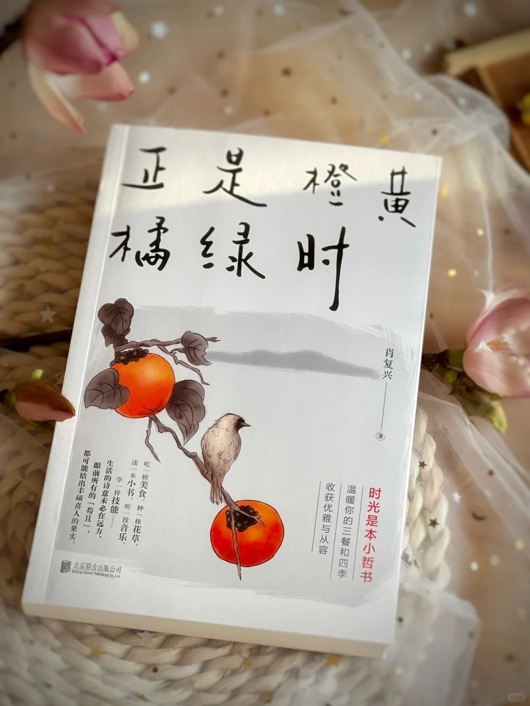 满满正能量，我被狠狠治愈了‼️