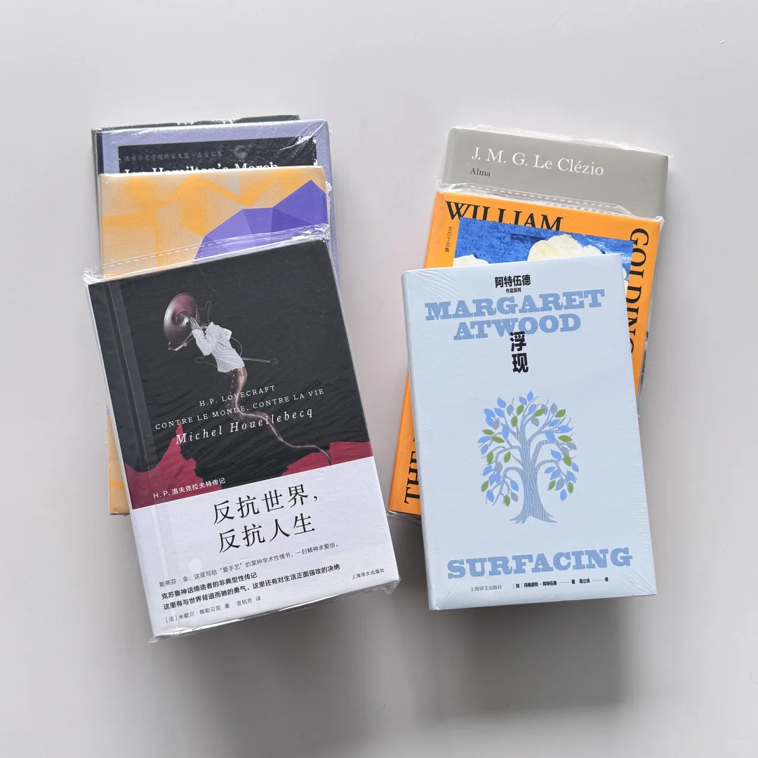 不热门但每一本都封神！pdd