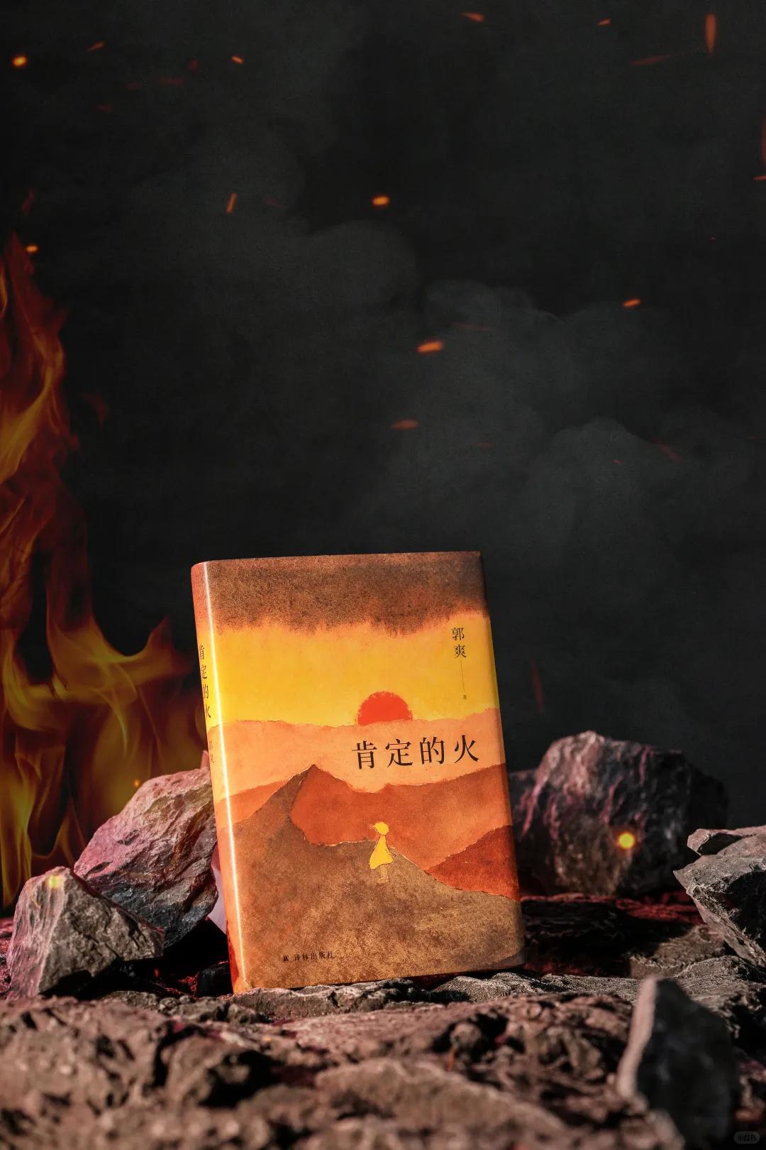 新书推荐📖请“女儿们”来读《肯定的火》
