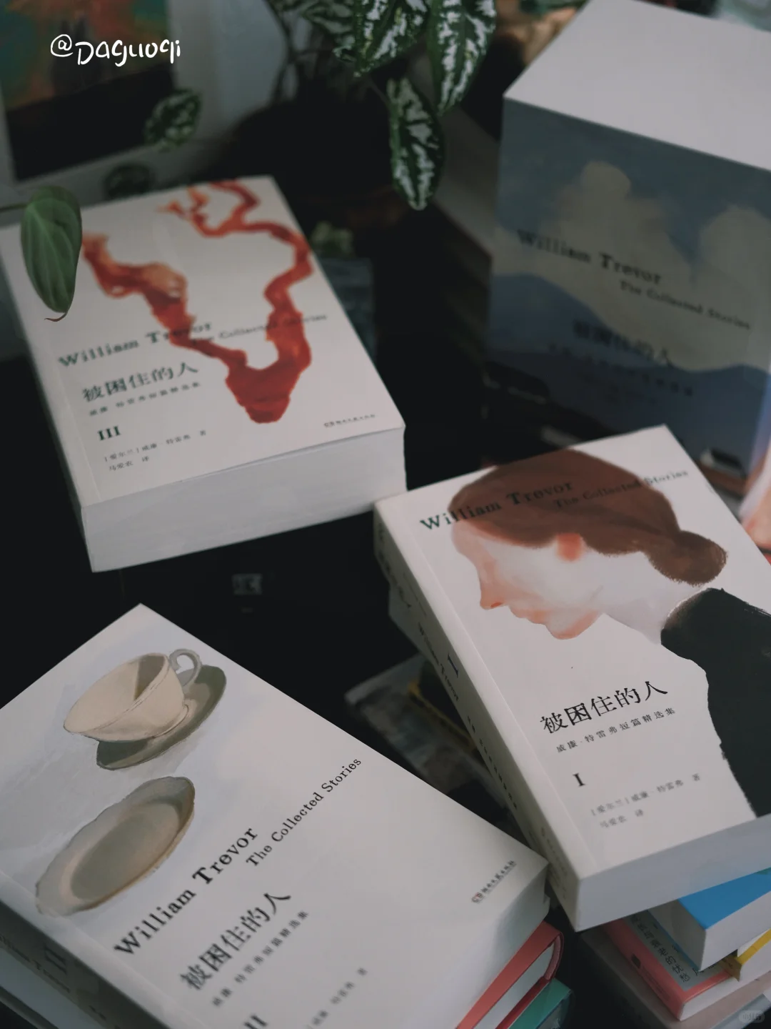 新书留影 ☁️