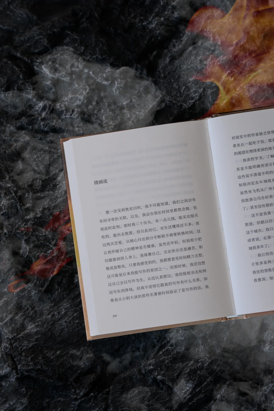 新书推荐📖请“女儿们”来读《肯定的火》