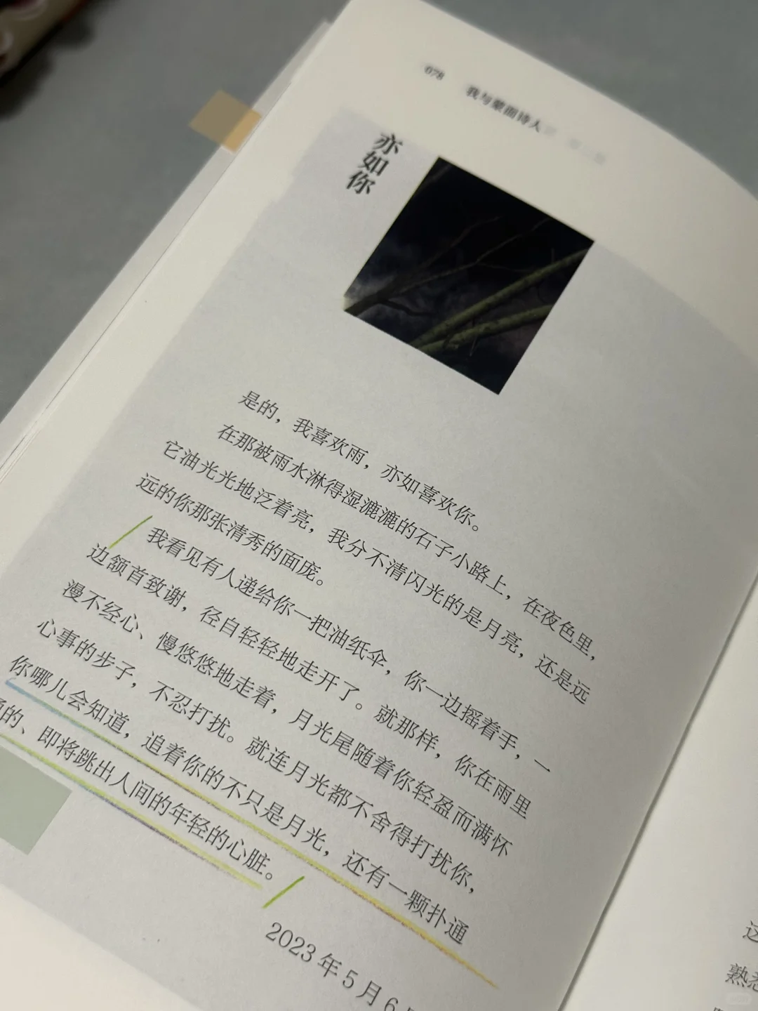 救命😭她怎么那么会写啊！狠狠共情了！！