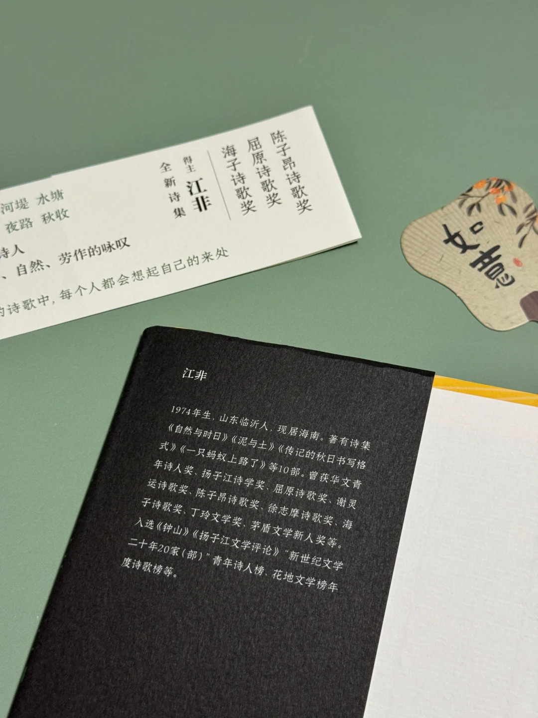 《大地为万物彻夜生长》允许生活长点“杂草”吧