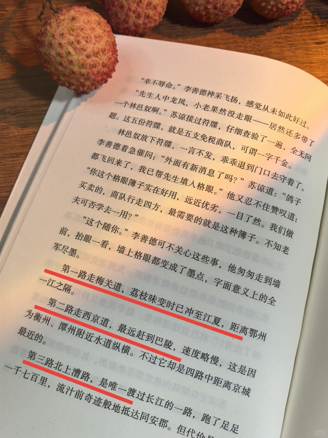 《长安的荔枝》真的好好看，熬夜看完了！