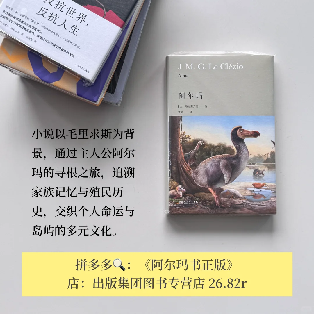 不热门但每一本都封神！pdd