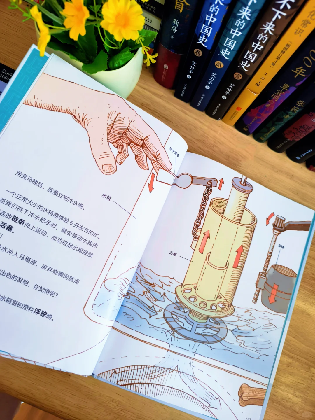 6岁小孩哥暑假书单Ｉ有好书，不负好时光