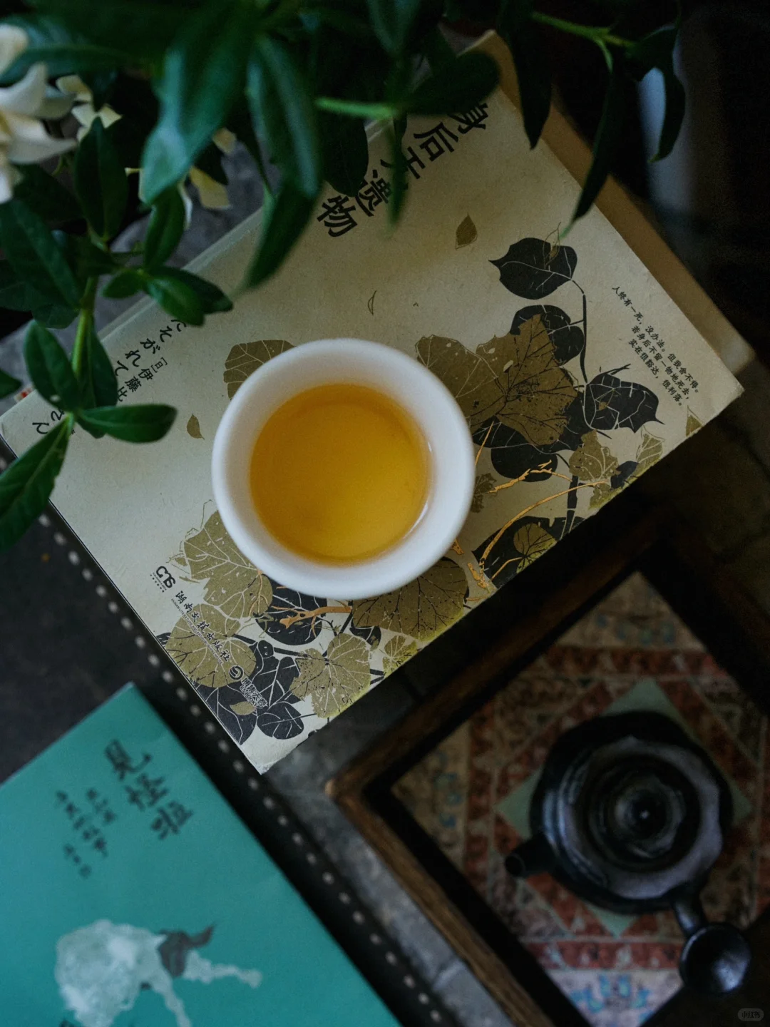我的7月｜独处，喝茶，看了12本书。