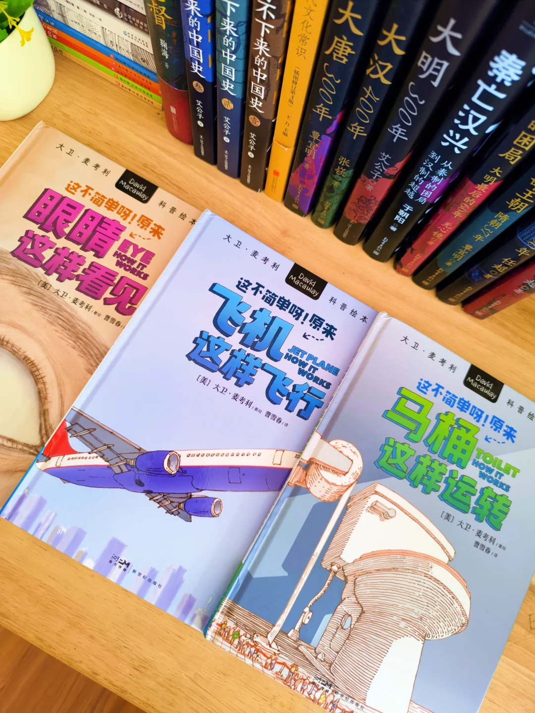 6岁小孩哥暑假书单Ｉ有好书，不负好时光