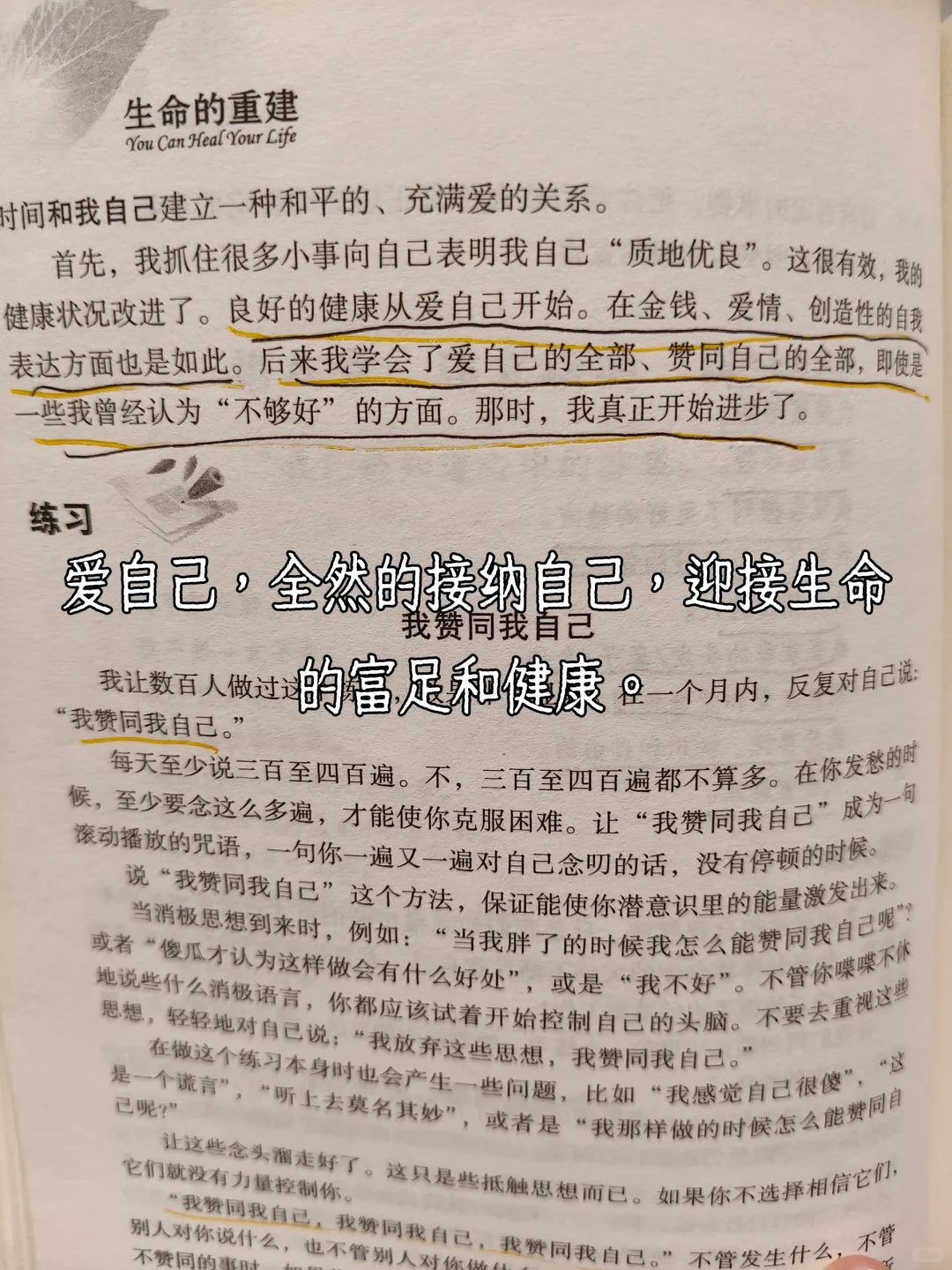 读完这三本📚，我停止了情绪内耗。