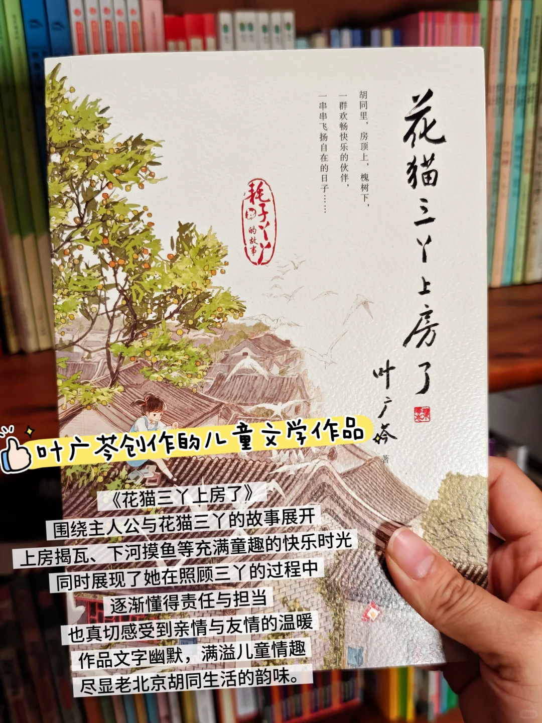 暑假啃书计划✅优质儿童文学书单大公开📚