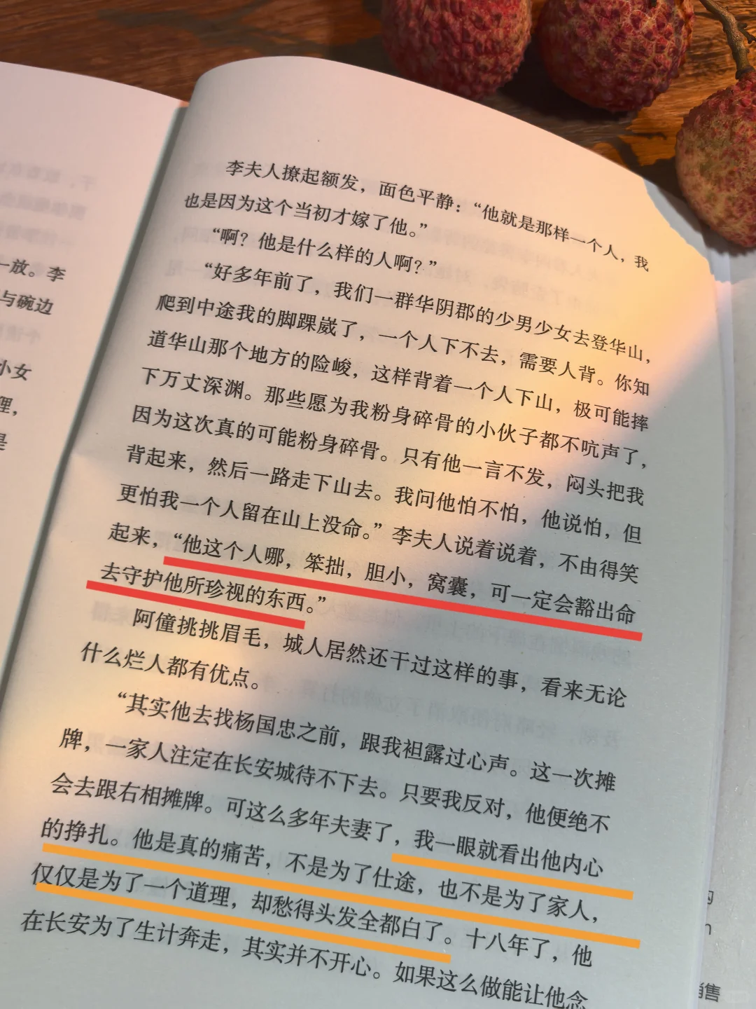《长安的荔枝》真的好好看，熬夜看完了！