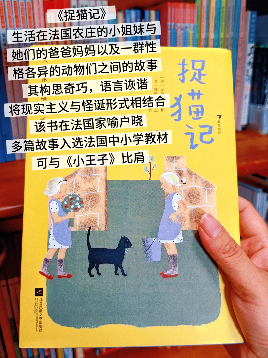暑假啃书计划✅优质儿童文学书单大公开📚