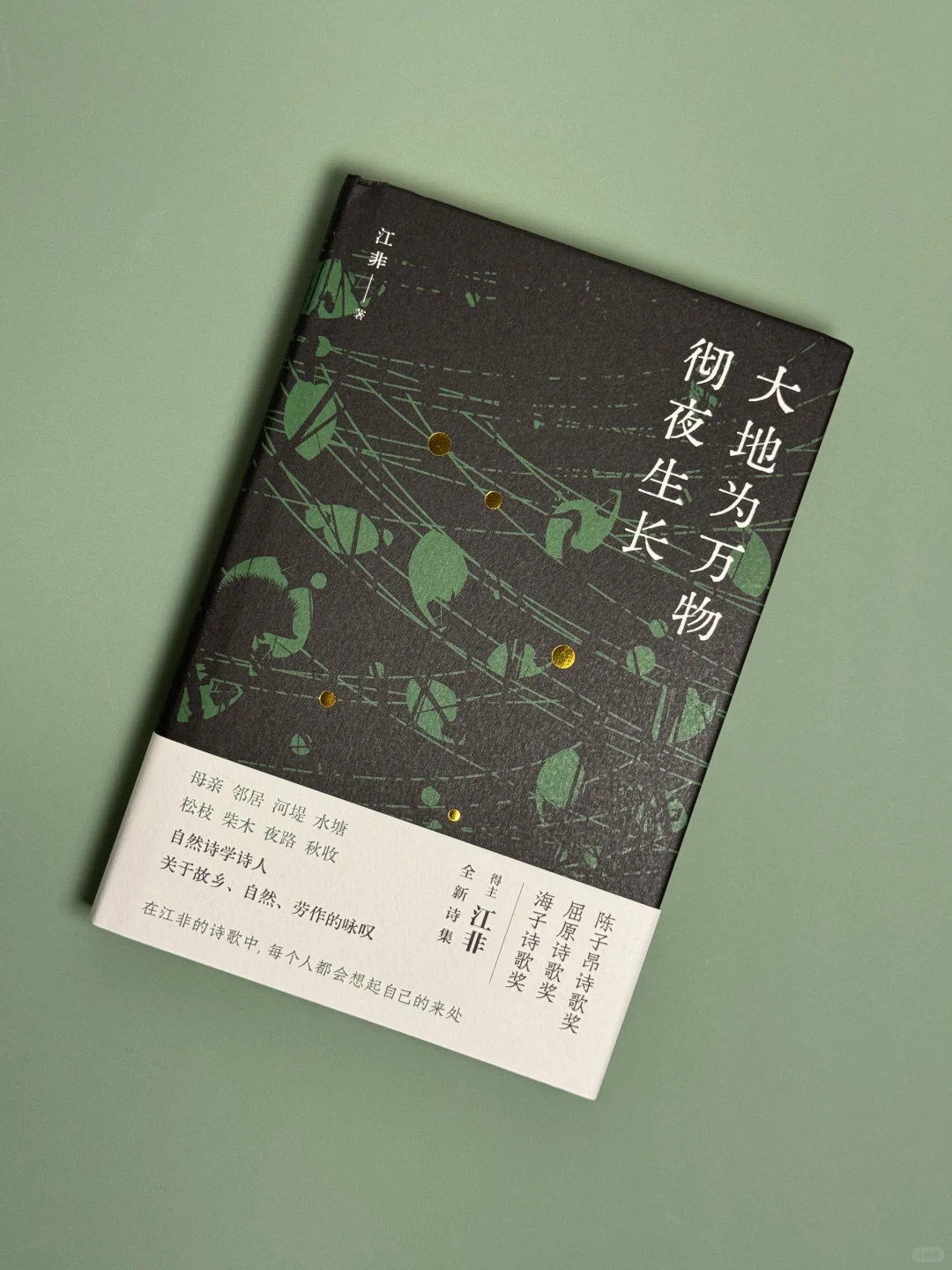 《大地为万物彻夜生长》允许生活长点“杂草”吧