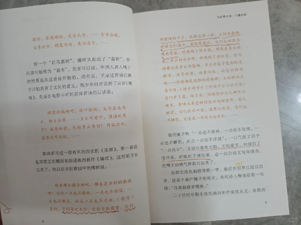 妹妹的新书