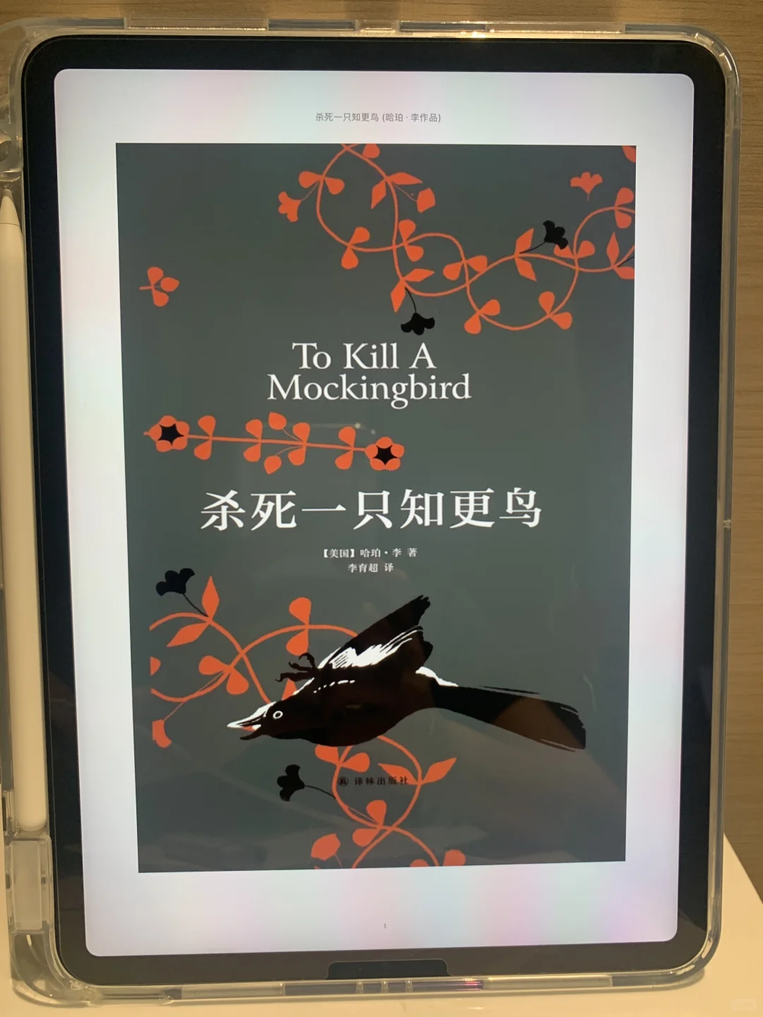 📚✨找书秘籍大公开｜实现电子书自由‼️
