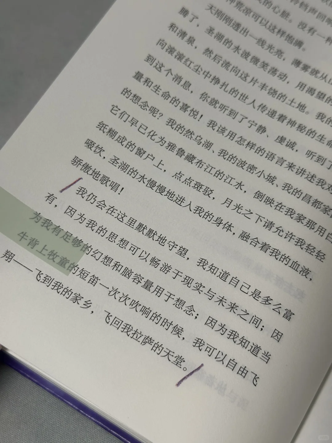 救命😭她怎么那么会写啊！狠狠共情了！！