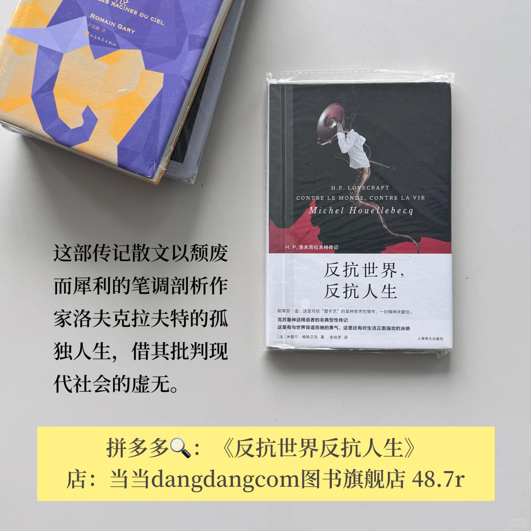 不热门但每一本都封神！pdd