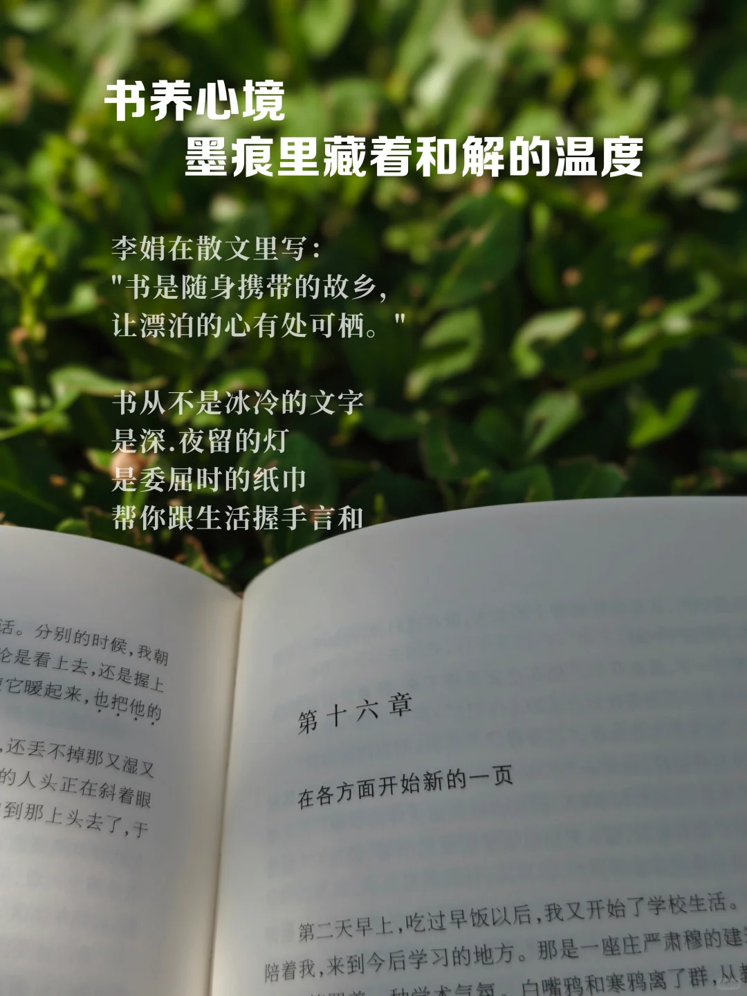 到了一定年纪才发现：书，最养人！