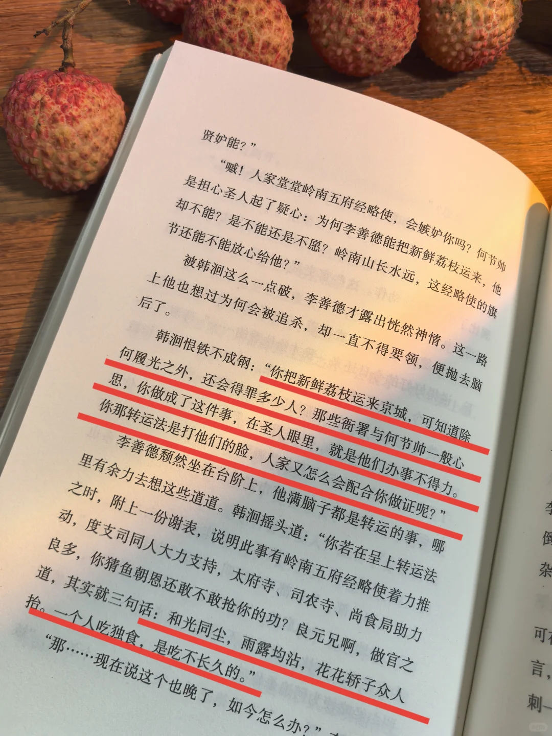 《长安的荔枝》真的好好看，熬夜看完了！