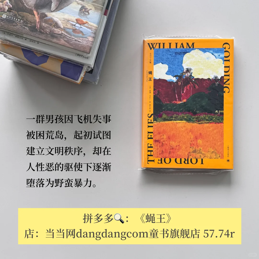 不热门但每一本都封神！pdd