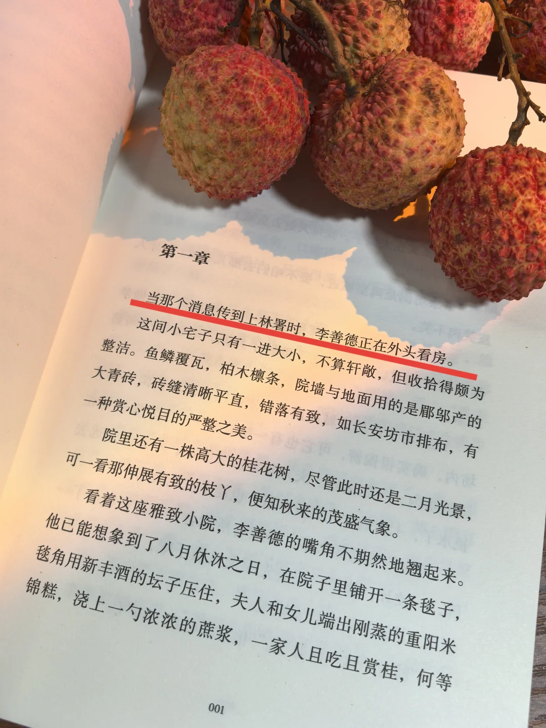 《长安的荔枝》真的好好看，熬夜看完了！