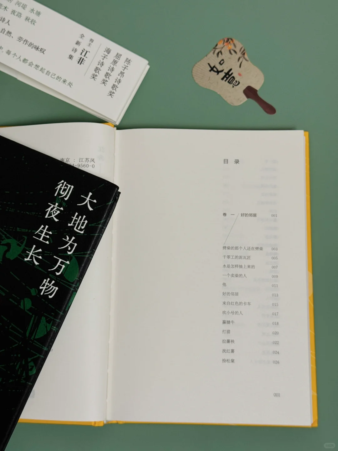 《大地为万物彻夜生长》允许生活长点“杂草”吧