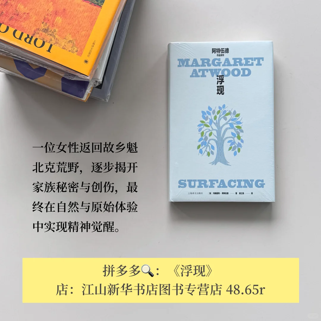 不热门但每一本都封神！pdd