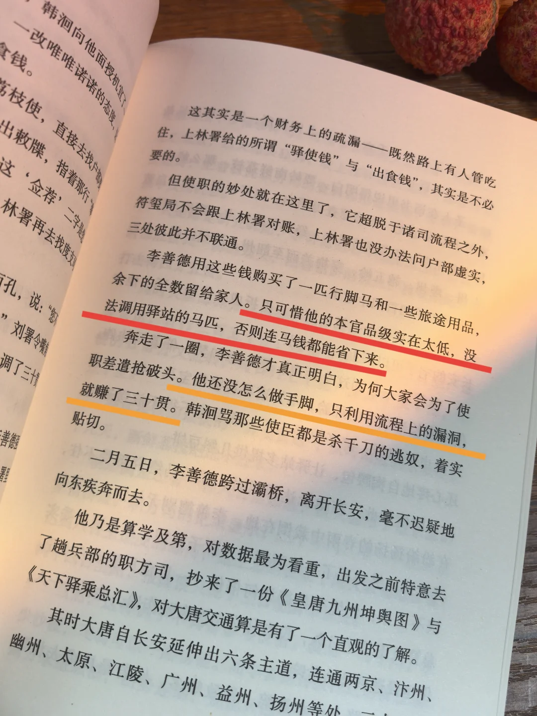 《长安的荔枝》真的好好看，熬夜看完了！