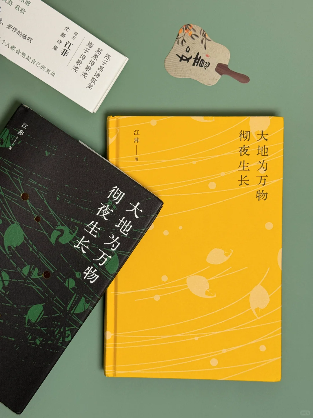 《大地为万物彻夜生长》允许生活长点“杂草”吧