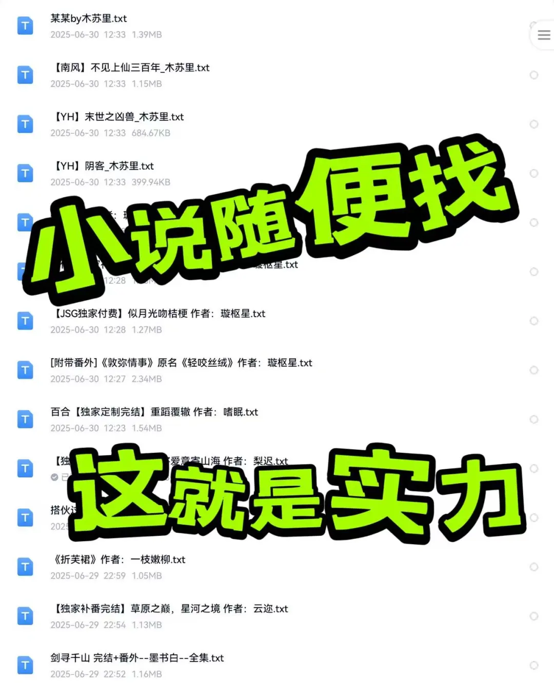 小说随便找，这就是实力！