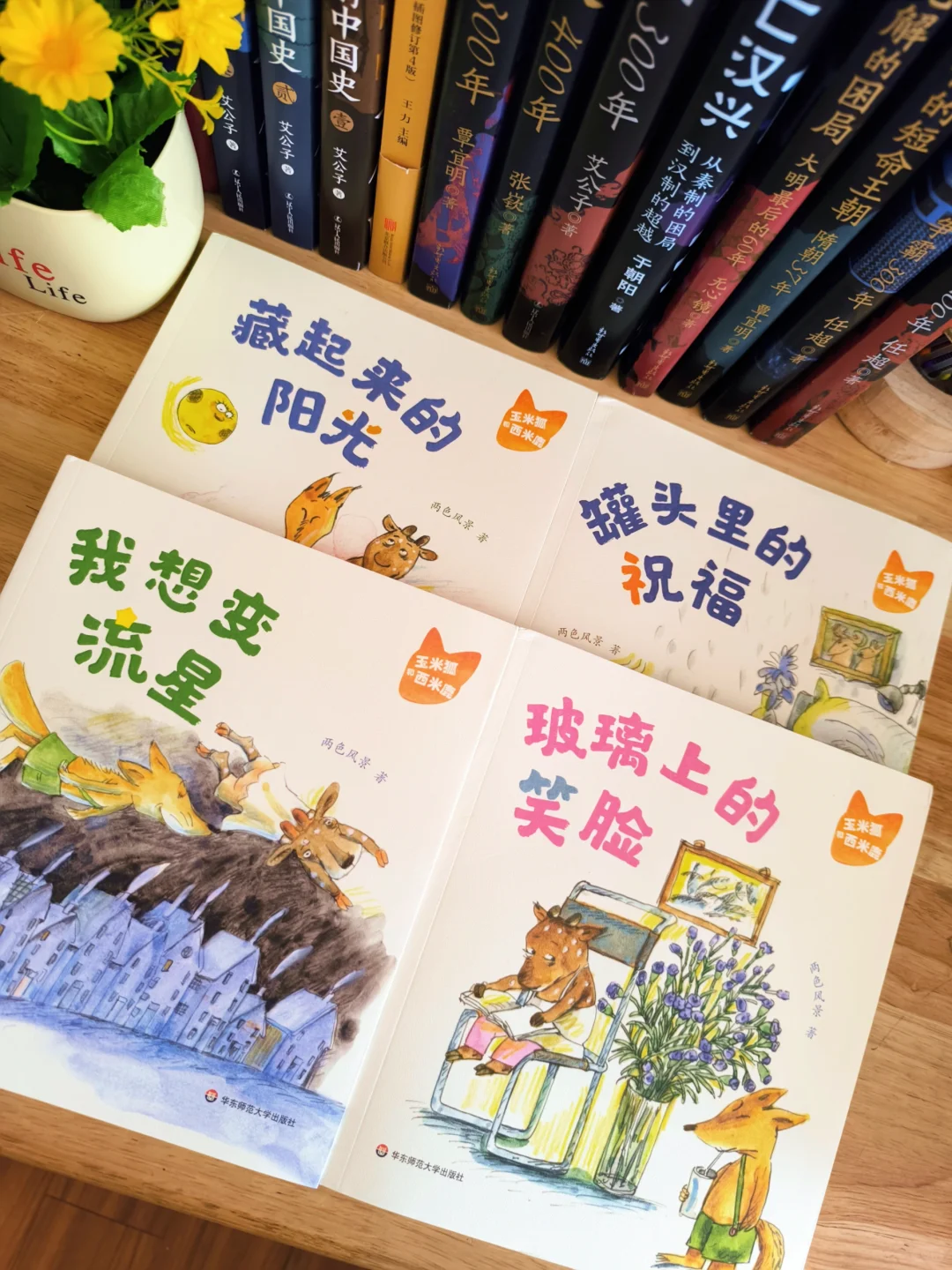 6岁小孩哥暑假书单Ｉ有好书，不负好时光