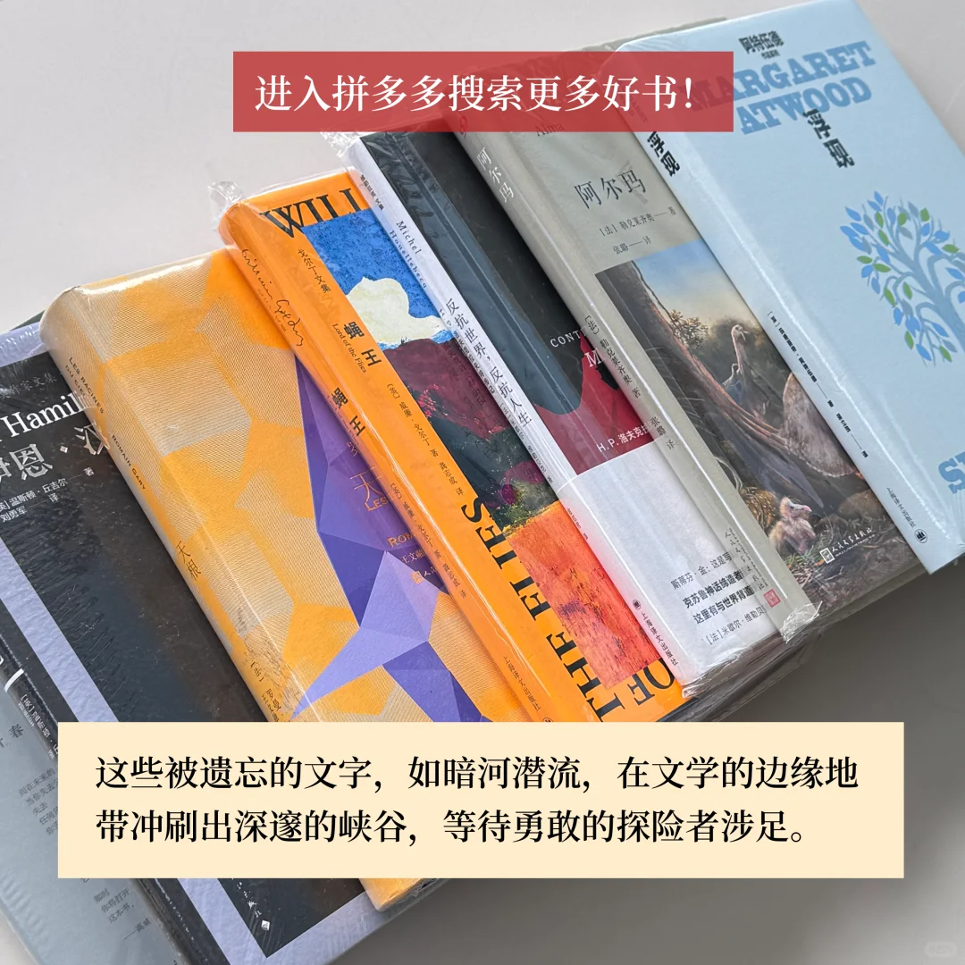 不热门但每一本都封神！pdd